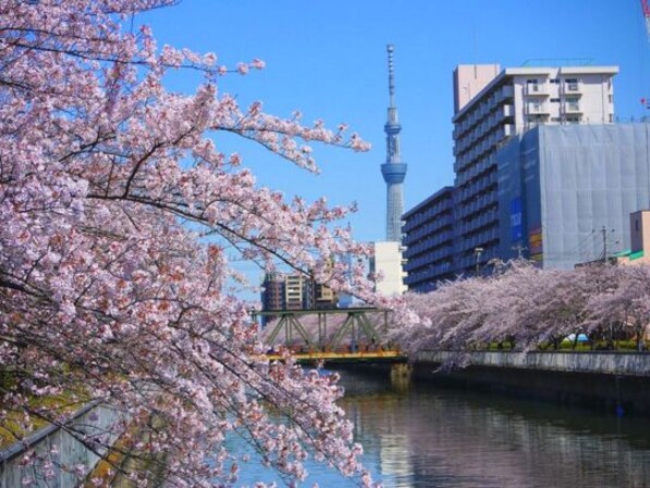 インプルーブ両国の物件内観写真